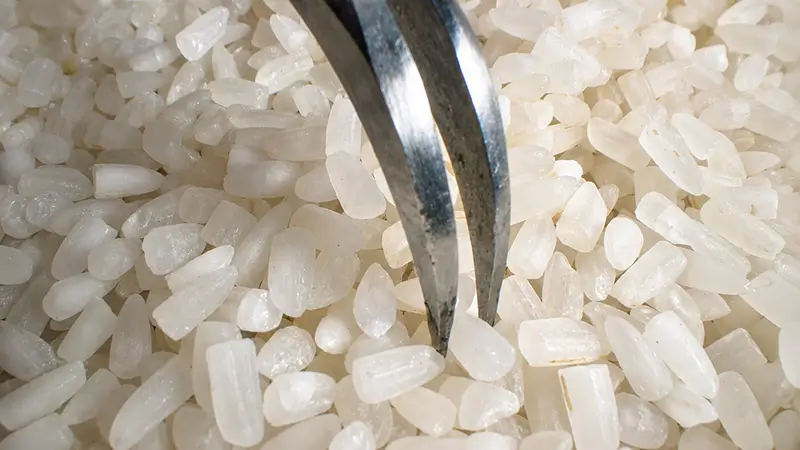 quebrados de arroz